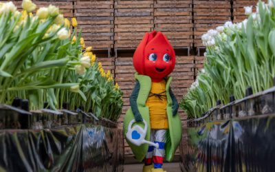 Opening bij Boots Flowerbulbs vormt aftrap van Tulip Trade Event